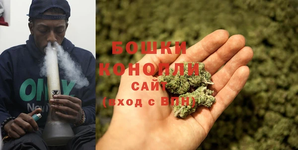 Альфа ПВП Протвино