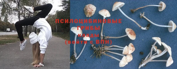 стаф Пролетарск