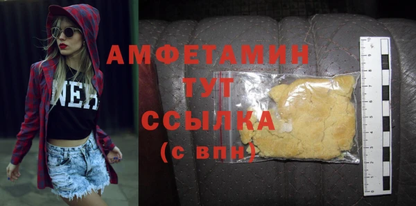 крисы Абаза