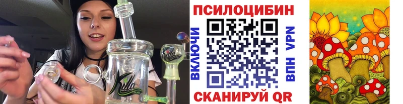 hydra рабочий сайт  Нижняя Тура  Псилоцибиновые грибы Psilocybe 